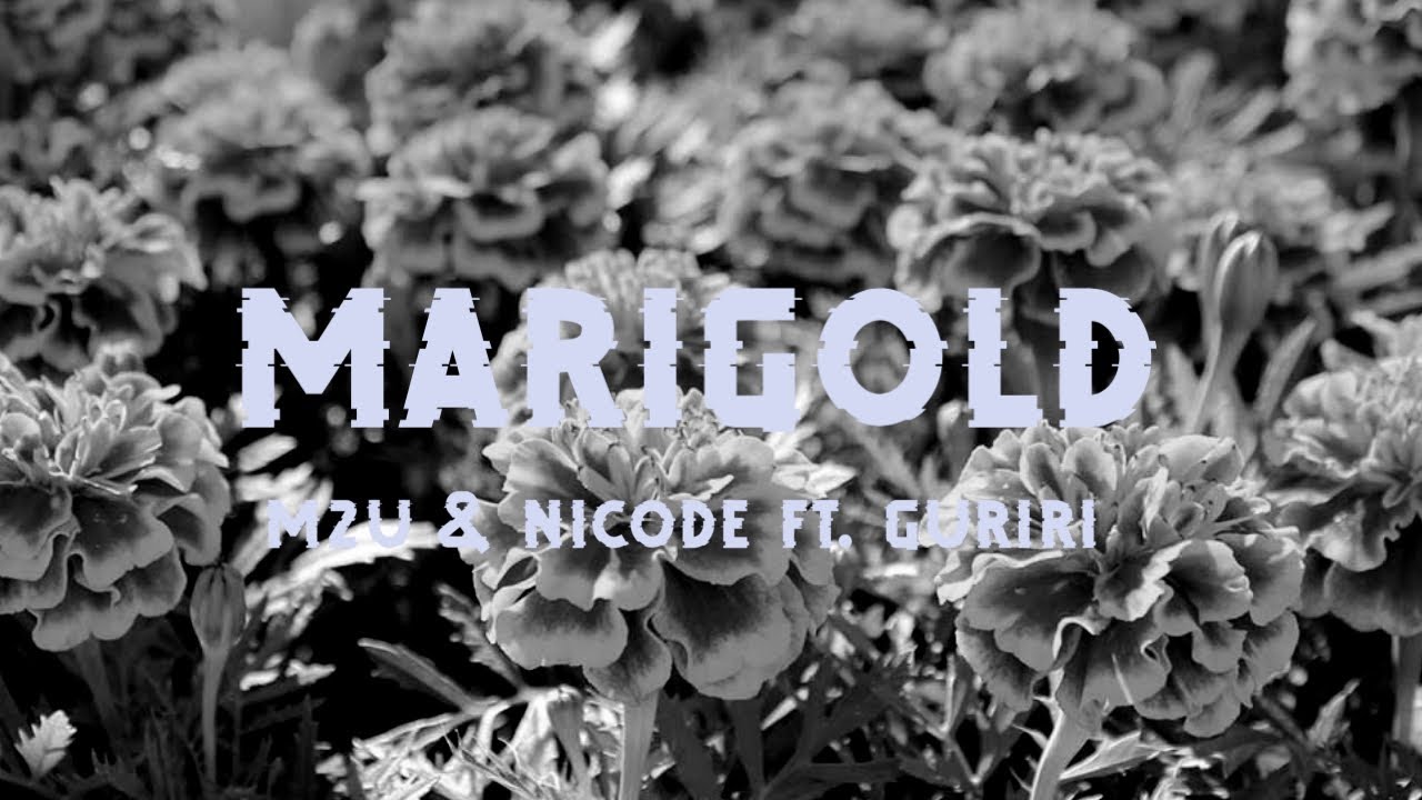M2U & NICODE || Marigold feat. Guriri (slowed + reverb)