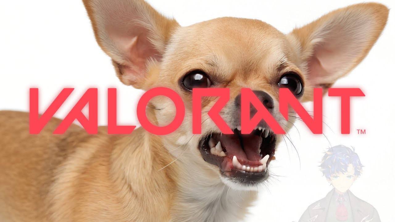 【VALORANT】V最VALO... Tier2 ?? HAHA it's JOKE → 旧RRメンバーでLoL / アステル