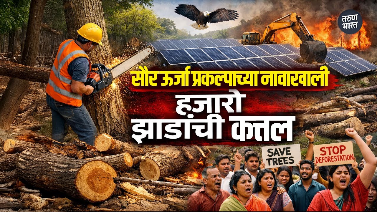 सौर ऊर्जा प्रकल्पाच्या नावाखाली हजारो झाडांची कत्तल, गावकऱ्यांना ठेवलं अंधारात | Tarun Bharat News
