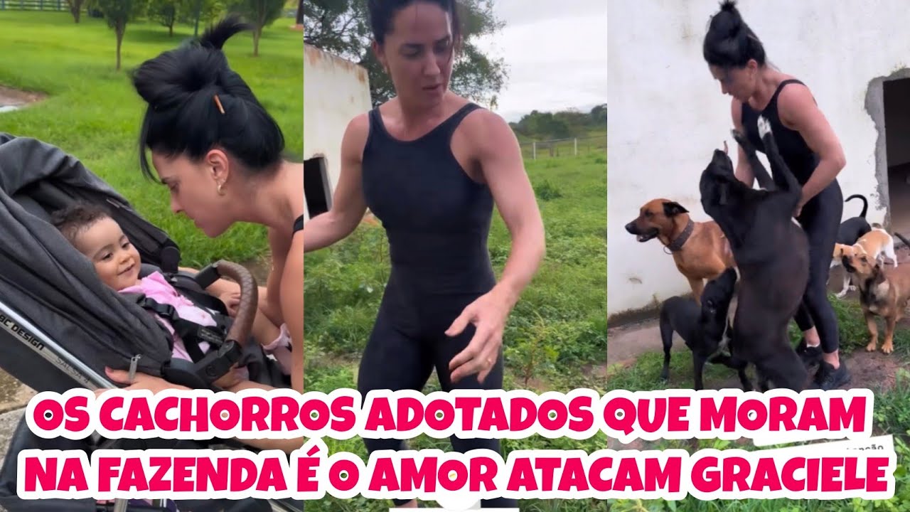 TODA ARRANHADA!! ATACARAM E ENCHERAM DE AMOR QUE LINDOS #zezédicamargo #gracielelacerda