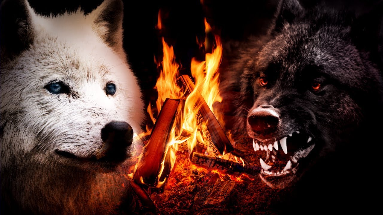 La LÉGENDE des DEUX LOUPS