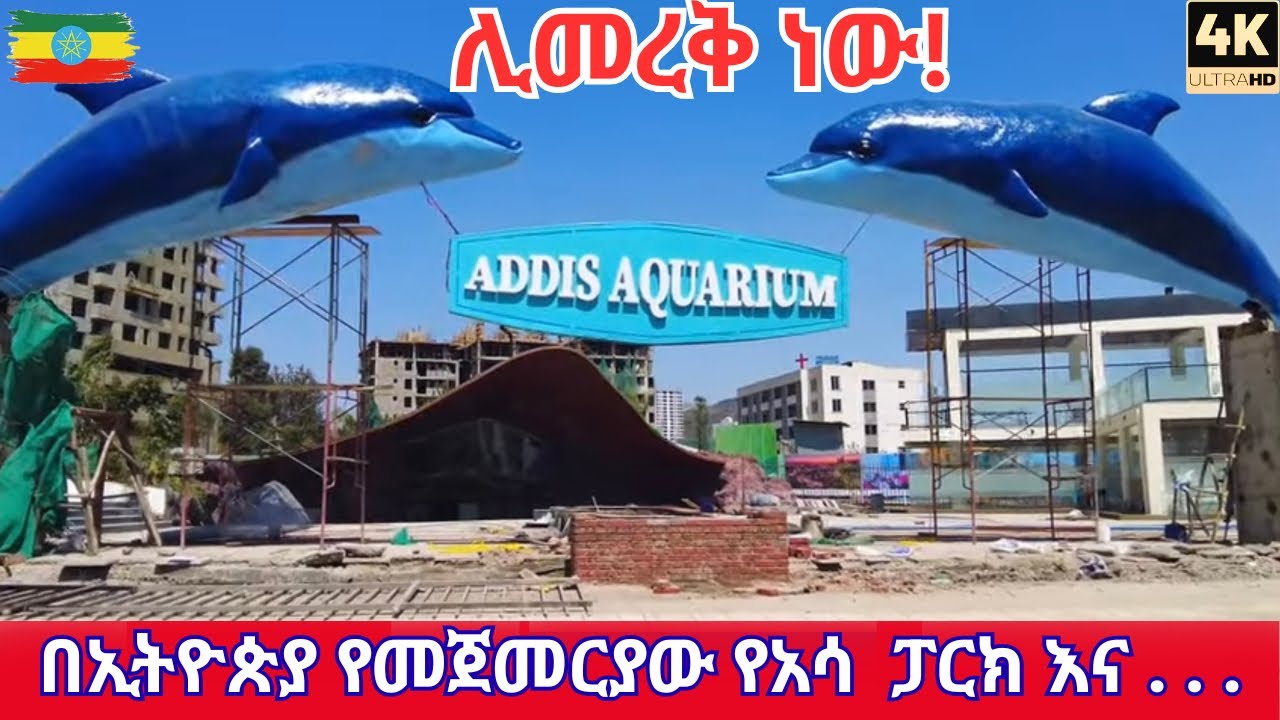 Is This Really Ethiopia? The New Kazanchis Sport Park & Aquarium Park Walking Tour | Addis Ababa 4K