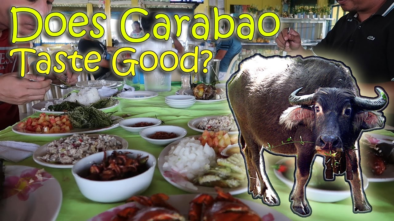 DOES CARABAO/WATER BUFFALO TASTE GOOD? (Dagupan, Philippines) | April 9th, 2017 | Vlog #78
