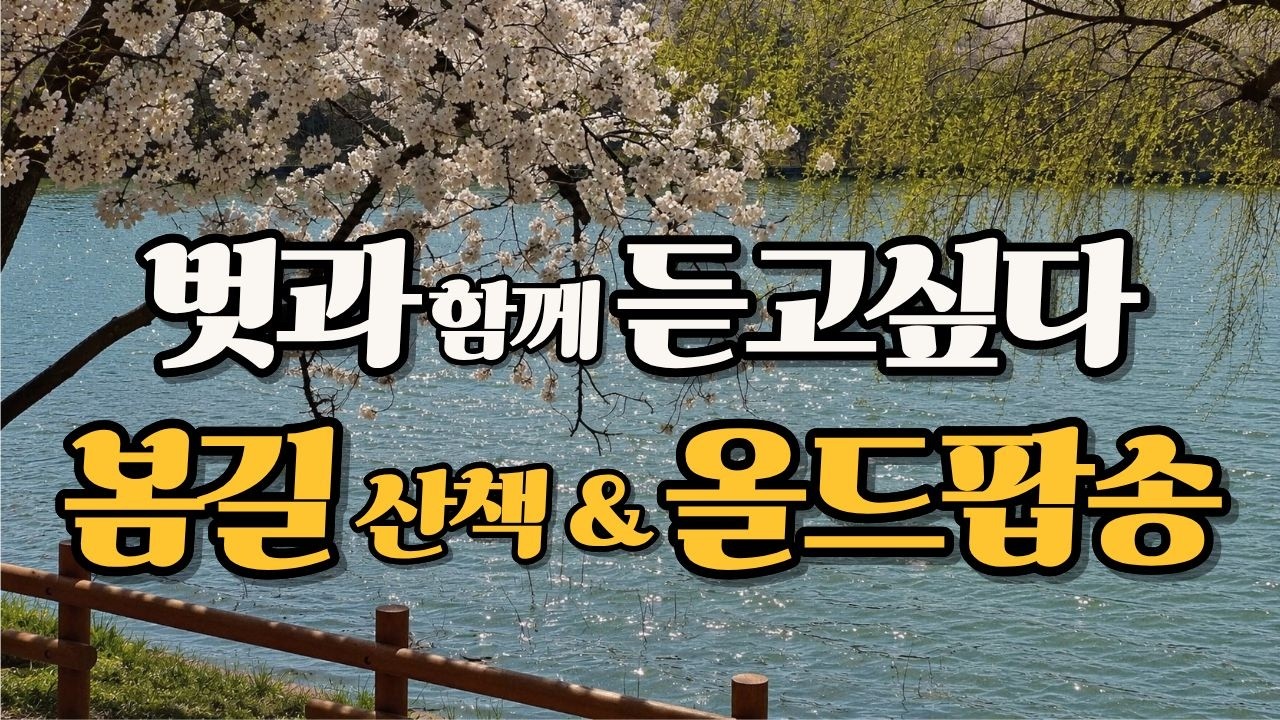 믿고 듣는 올드팝송 | 7080 시니어 감성팝송 | 바닷길 산책과 함께하는 올드팝 명곡 모음 🌊 | 산책 • 아침 • 독서 • 잠안올 때