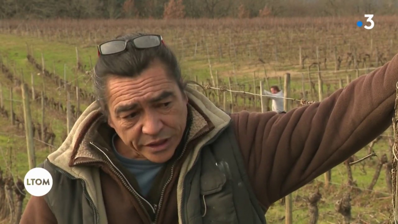 Heifara Swartvagher, vigneron tahitien près de Cahors