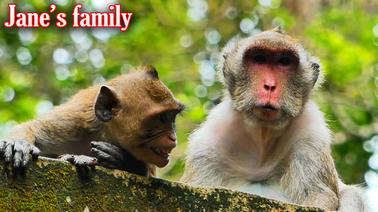 Sweet family, Rare time for Jazzy with mother, But she can't accept i_nterruptedd from Santiago