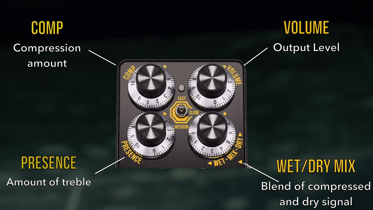 The Custard Factory Bass Compressor | Laney amps