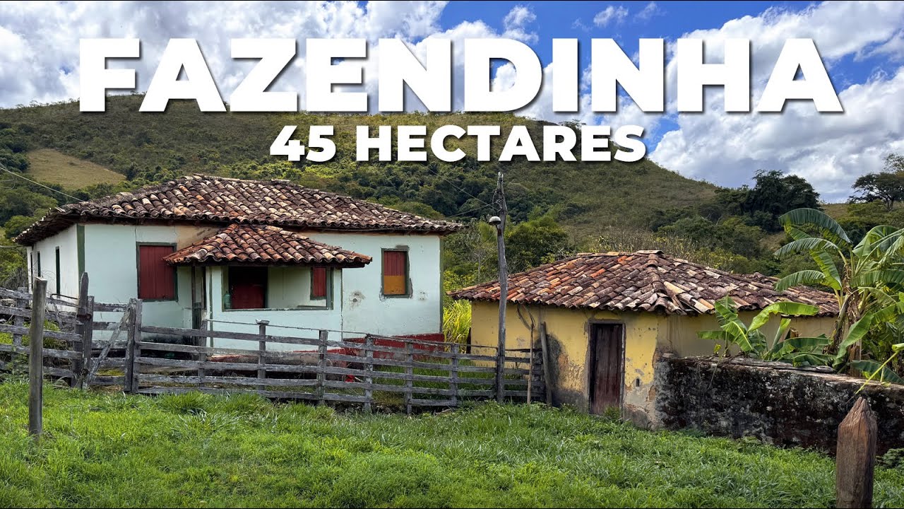 FAZENDINHA 45 HECTARES, PASTO FORMADO, BOA DE ÁGUA | R$ 900.000