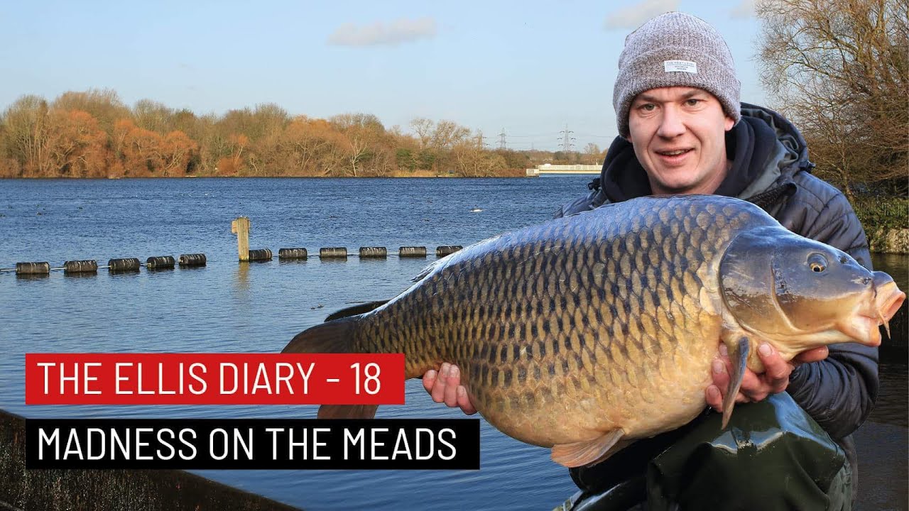 THE ELLIS DIARY - MADNESS ON THE MEADS!