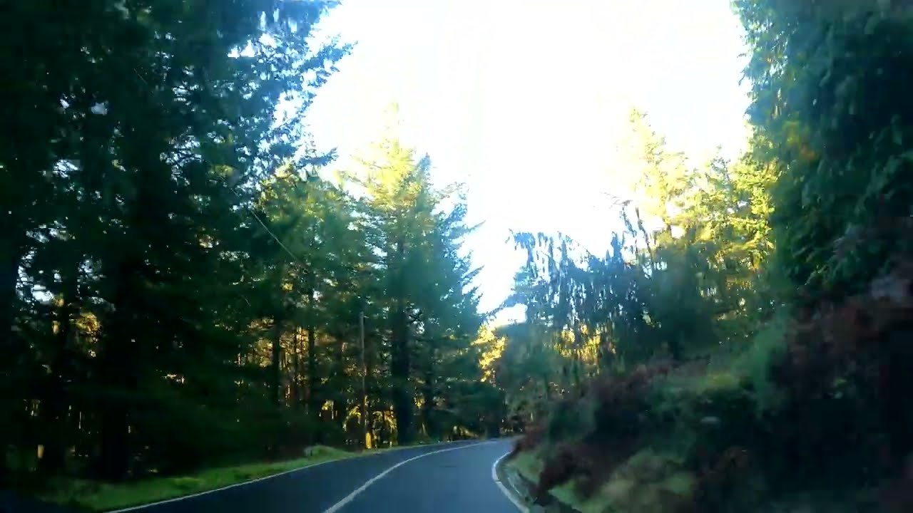 Scenic Mountain Drive to Pico do Arieiro 🚗 | Madeira Nature Sounds (No Talking)