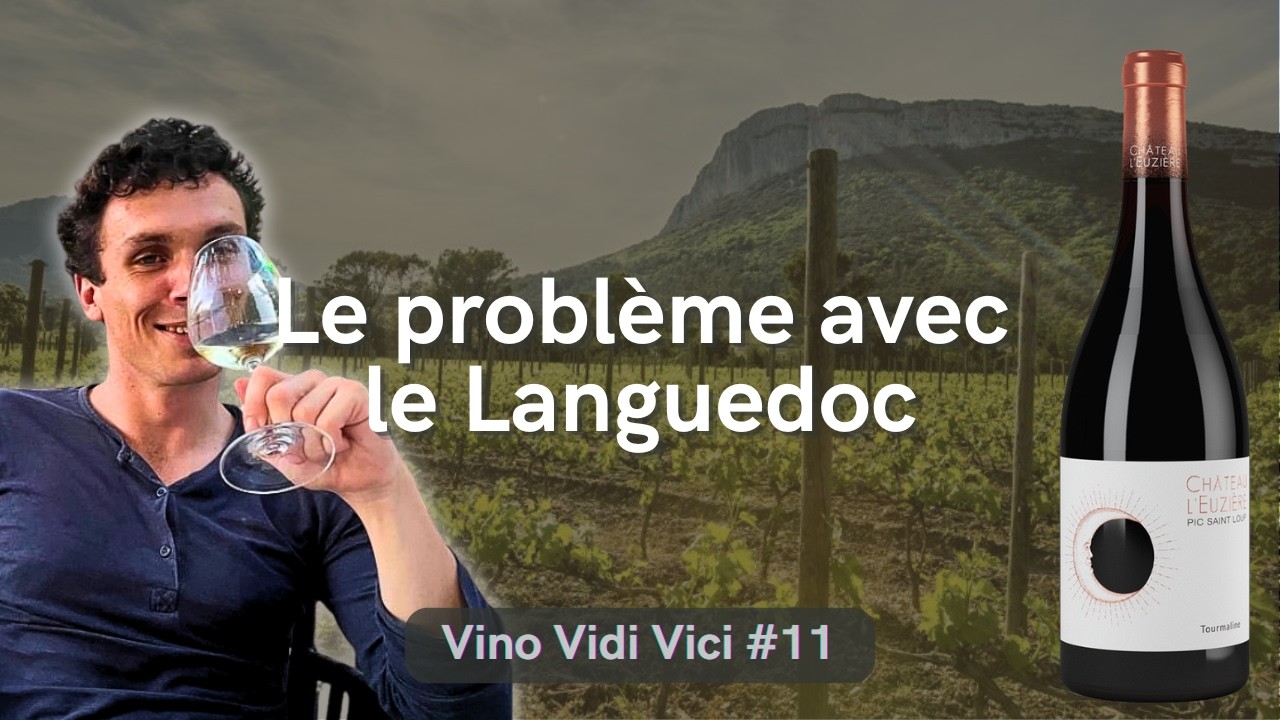 Languedoc : piquette ou grand vin ? — Vino Vidi Vici #11