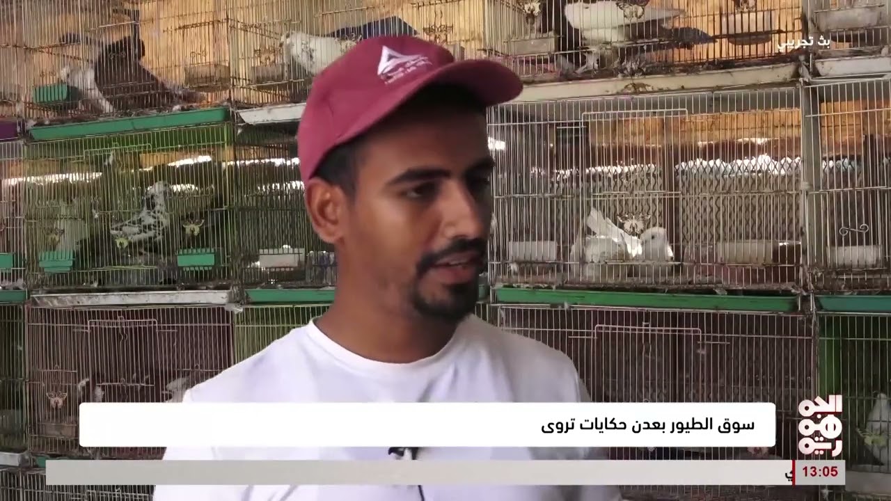 سوق الطيور بمدينة الشيخ عثمان #عدن
