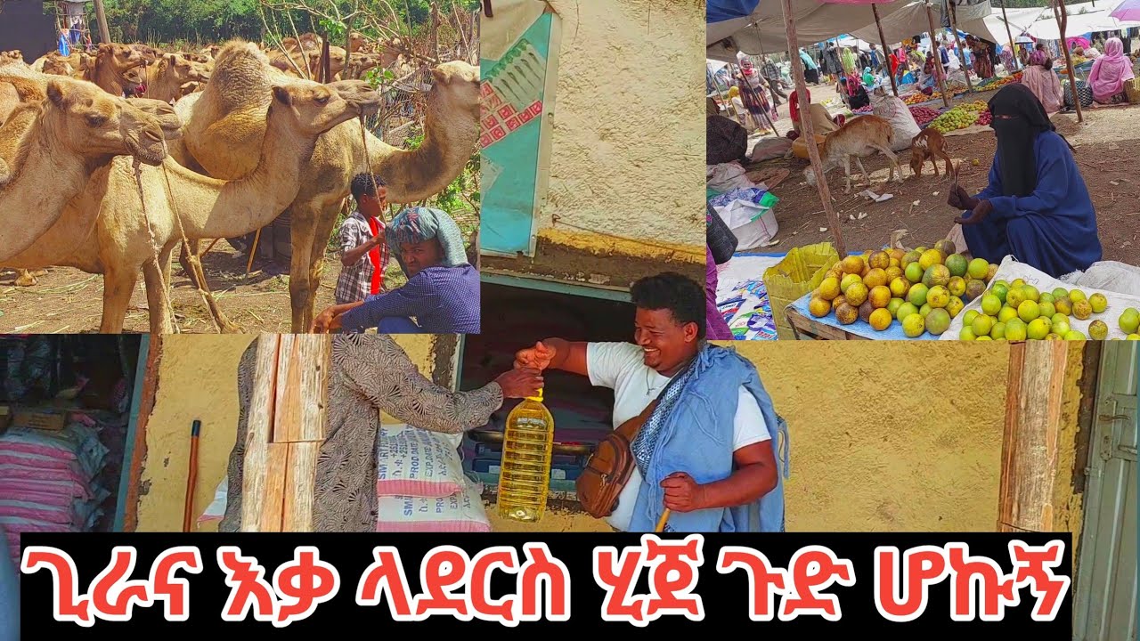 🔴ሙስ ጊራና እቃ አደረስኩኝ የከብት እና የግመል ገባየ 🏊ሙሉ መልካም ትዝታሀ