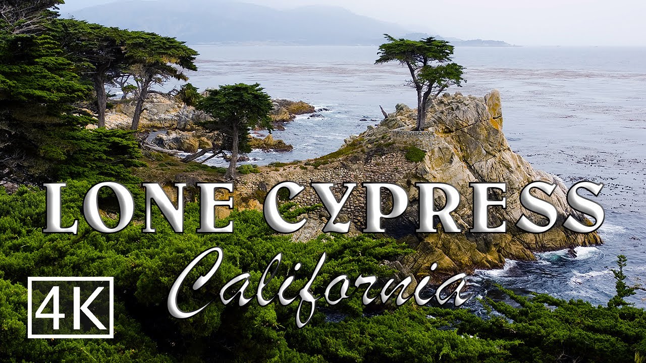 [4K] Lone Cypress at 17-Mile Drive - California