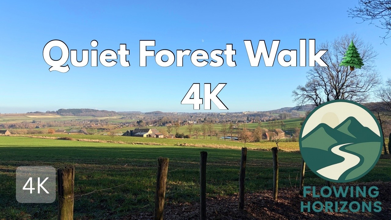 Relaxing Forest Walk near Boscafé ’t Hijgend Hert (4K) | Netherlands 🇳🇱 