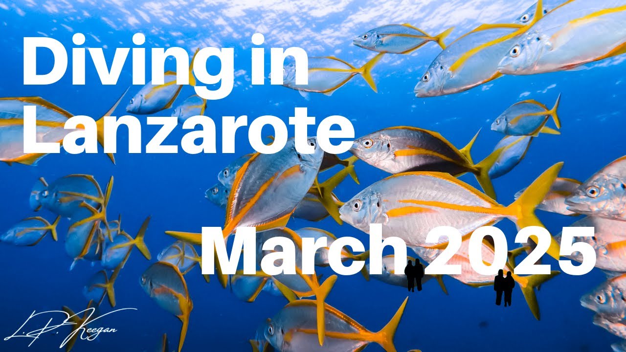 Daivoon Diving Lanzarote 2025