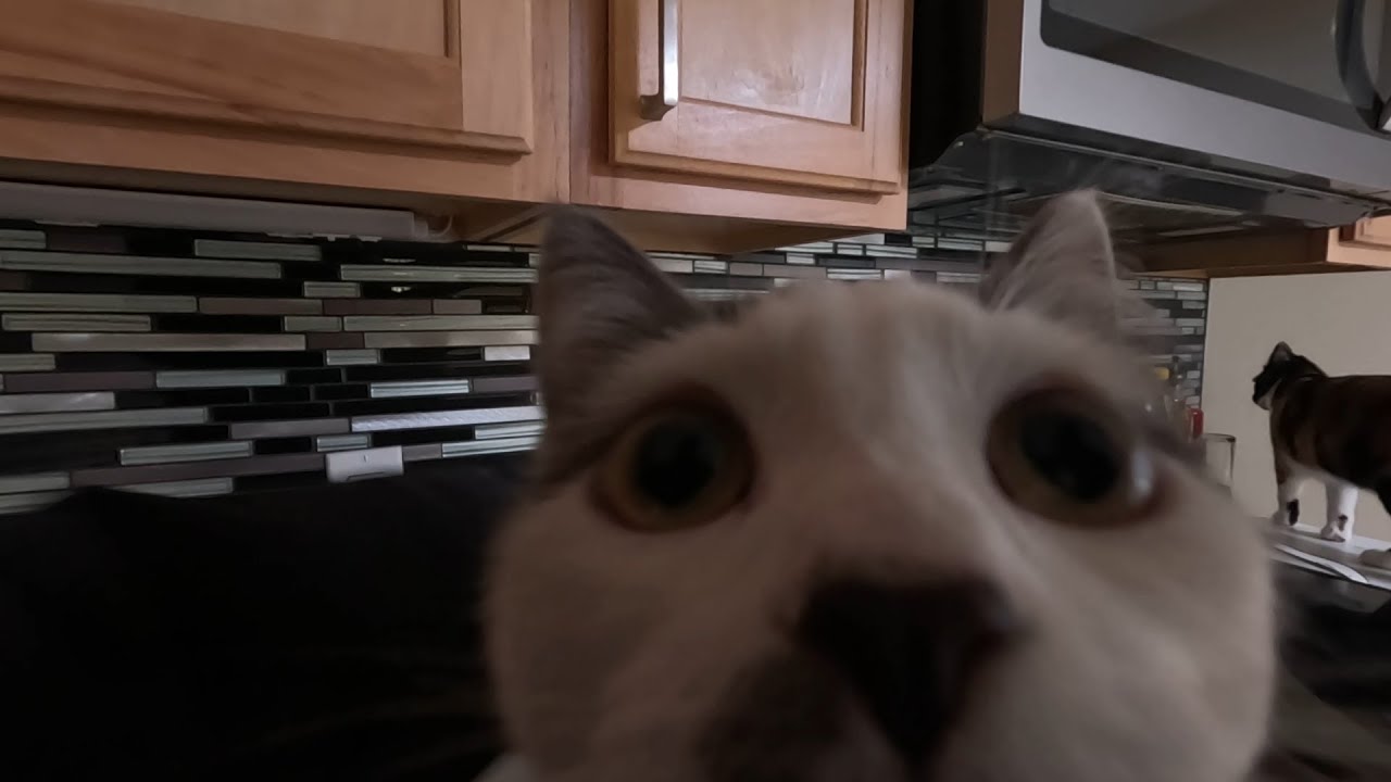 Delivery Driver POV #517