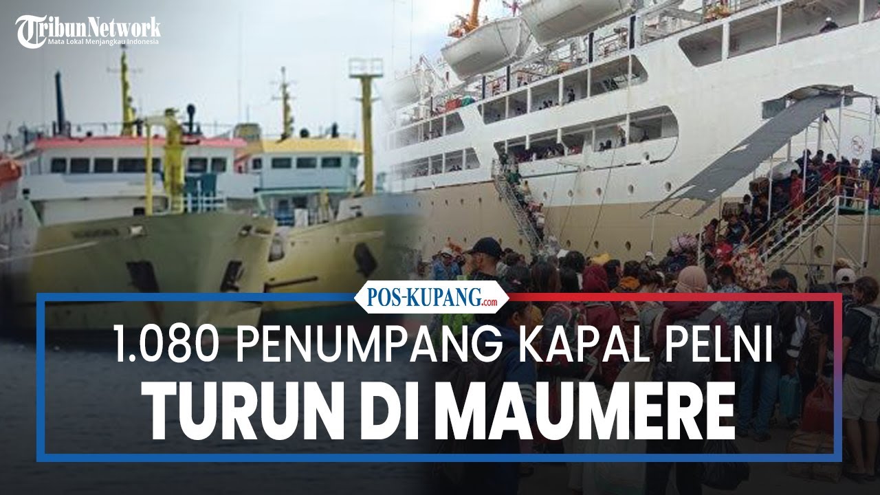 Lima Hari 1.080 Penumpang Kapal PELNI Turun di Pelabuhan Maumere