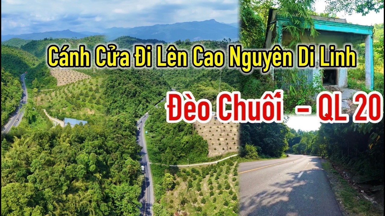 Cảnh đẹp trên Đèo Chuối QL20: Cánh cửa kết nối Đông Nam Bộ và cao nguyên Di Linh.