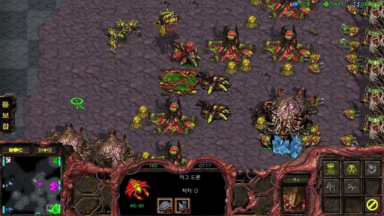 APM100 아재의 빨무 : 저그 영덕대게 출몰과 함께 지지
