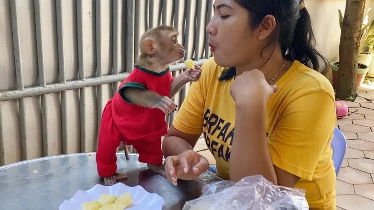 Foodie Boy DAM Enjoy Having Pineapple For Snack With Mom