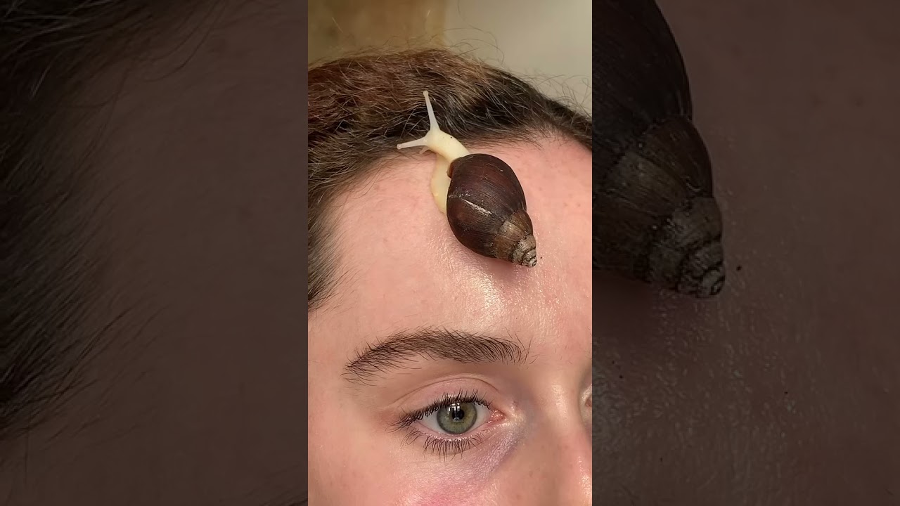 Real snail skincare asmr🤯#shorts