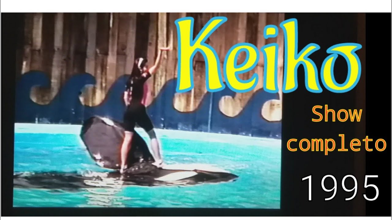 keiko la ballena show completo (1995) Reino Aventura