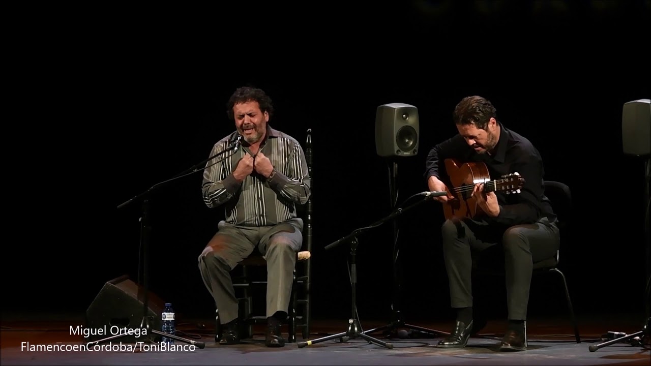 Miguel Ortega, XXII Concurso Nacional de Arte Flamenco, Córdoba