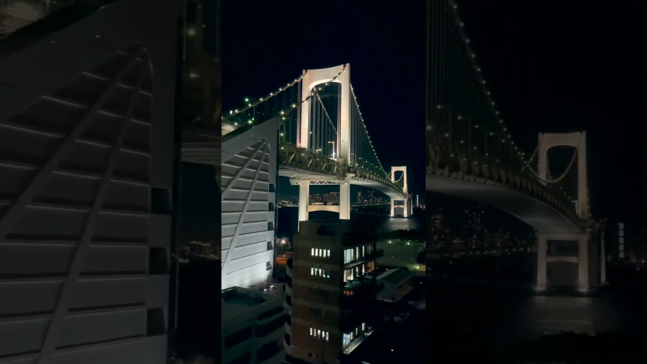 This, is View from Monorail in Tokyo #shorts #tokyo #night