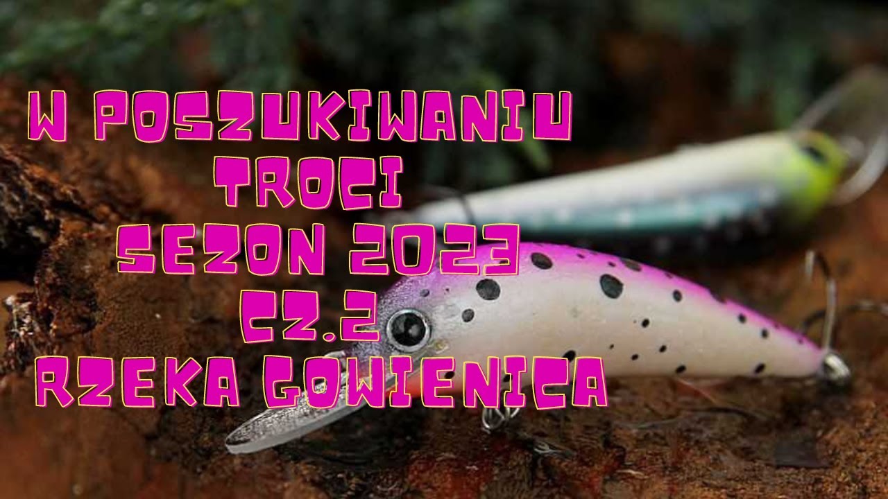 W POSZUKIWANIU TROCI SEZON 2023 CZ.2  RZEKA GOWIENICA
