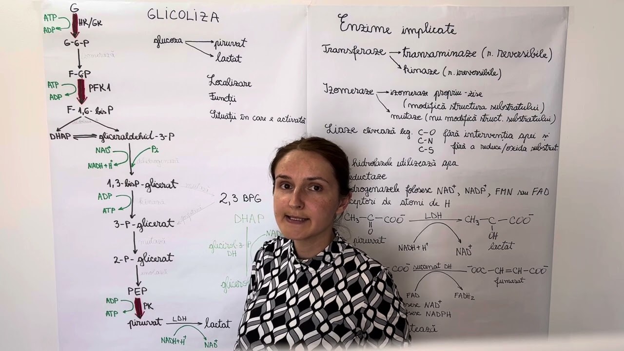 Glicoliza si enzimele implicate