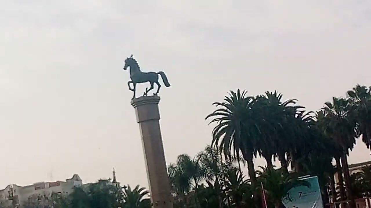 أجي تشوف مدينة سطات او بساحة الحمام زادت حلات