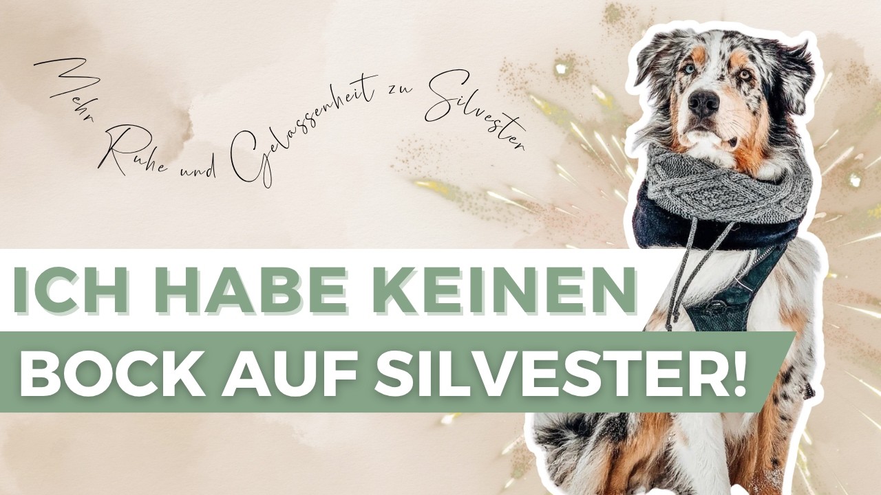 FEUERWERKSANGST BEI TIEREN | Unsere besten Tipps und Tricks für eine ruhige Silvesternacht