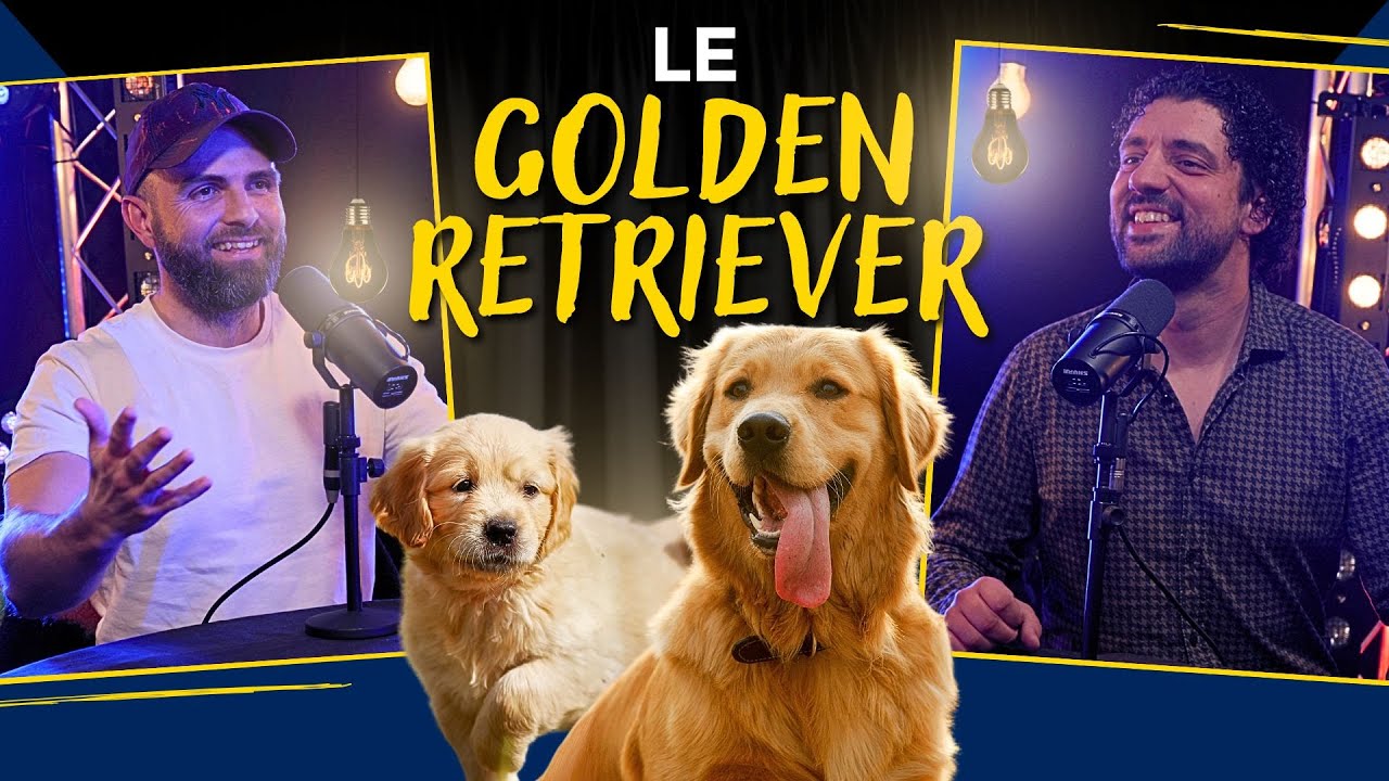 Le GOLDEN RETRIEVER