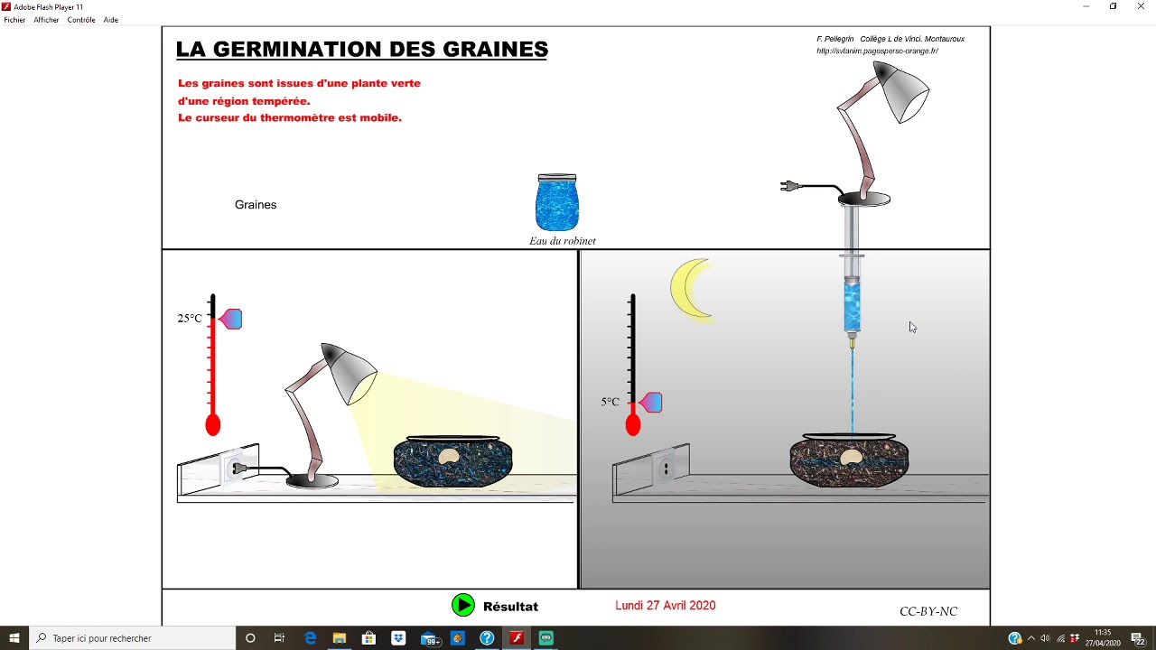 6eme  Germination graine   température