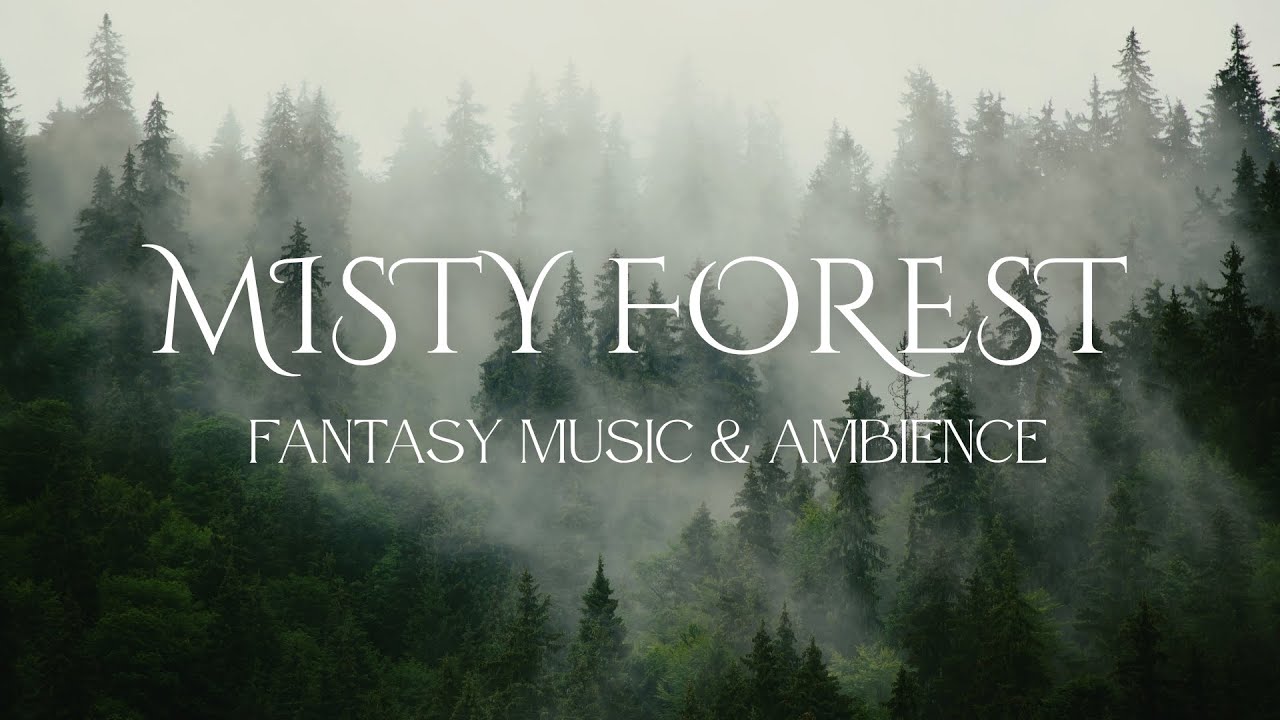 Misty Forest Ambience (NO MID ROLL ADS) | Fantasy Music for Reading, Sleep & Study