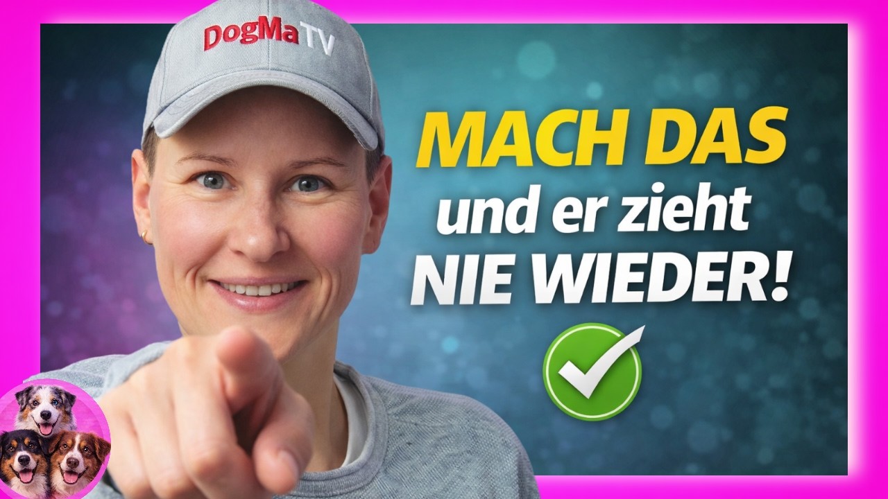 😱🐕 DIESER Fehler zerstört Leinenführigkeit! Dein Hund zieht an der Leine – und DU bist der Grund