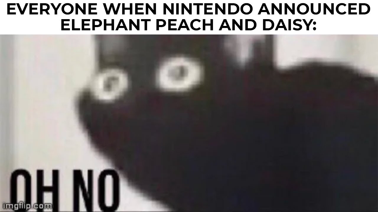 NINTENDO MEMES