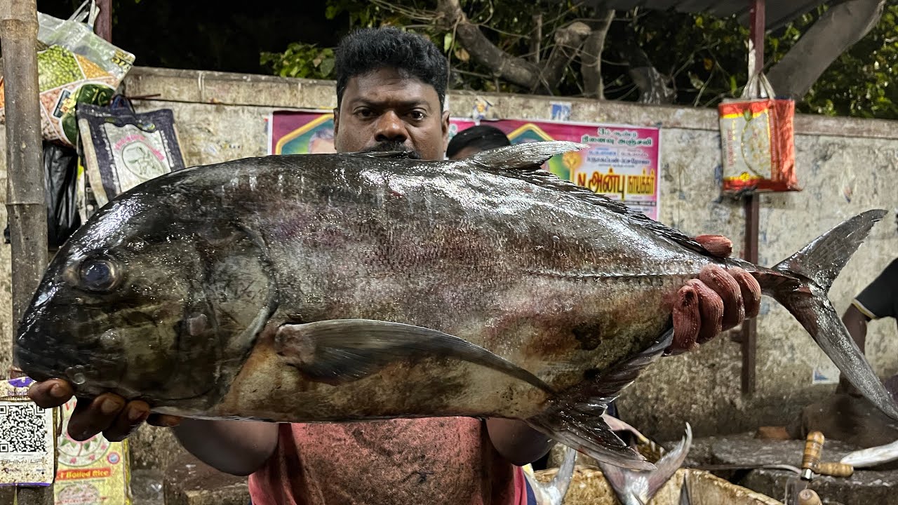 KASIMEDU 🔥 SPEED SELVAM | HUGE TRAVELLY FISH CUTTING VIDEO | 4K VIDEO | KM FISH CUTTING