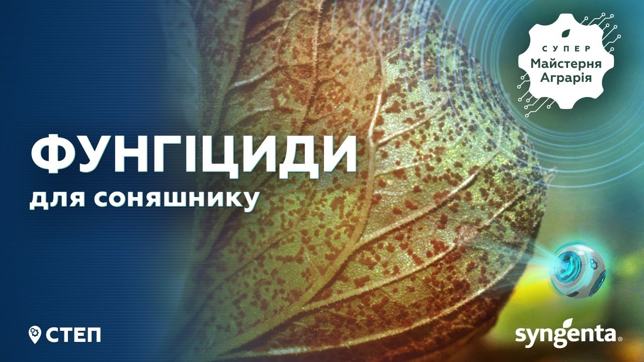 Фунгіциди для соняшника. Супер Майстерня Аграрія 2020: зона Степу