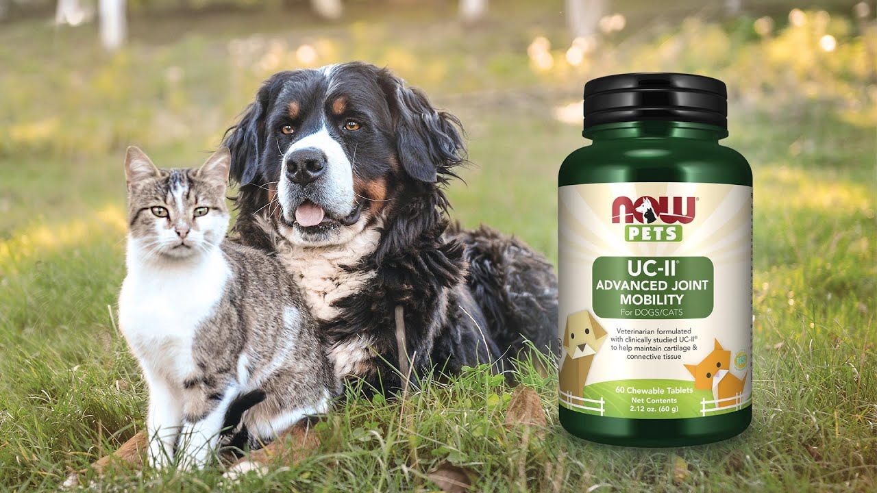 NOW Pets | UC-II® Advanced Joint Mobility Chewables for Dogs & Cats