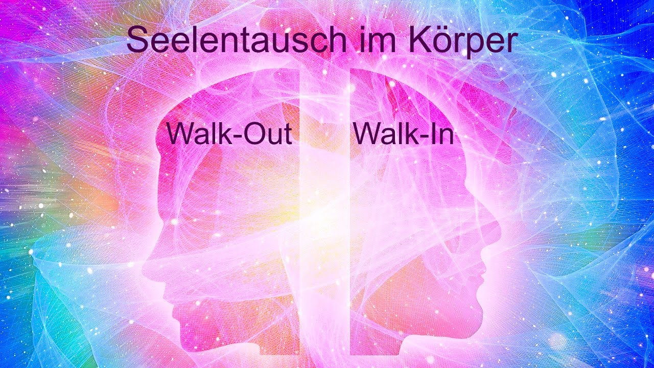 Was sind Walk-Ins & Walk-Outs? | Teil 7 | Große Reise der Entitäten