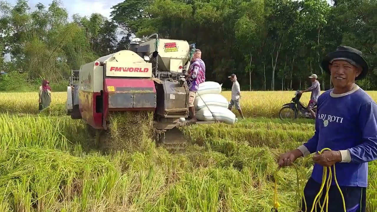 #kombi Handal #combine padi #maxxibimo  Evo 102L Libas Semua Lahan (FULL HD)