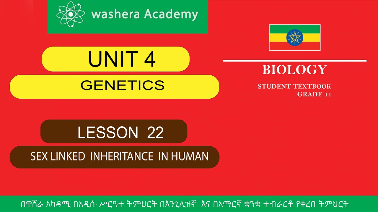 BIOLOGY  GRADE   11  UNIT  4  LESSON   22  SEX LINKED INHERITANCE IN HUMAN