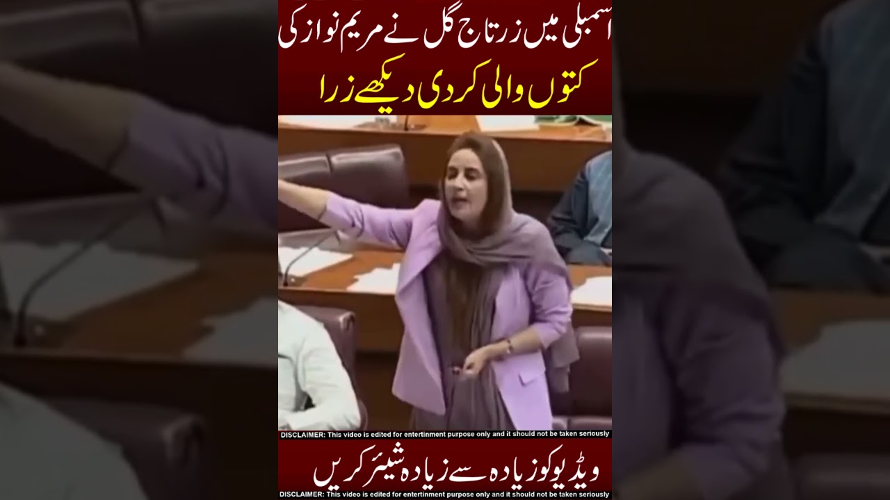 zaratujha gull na maryam nawaz ko dhodala😱☠️omg