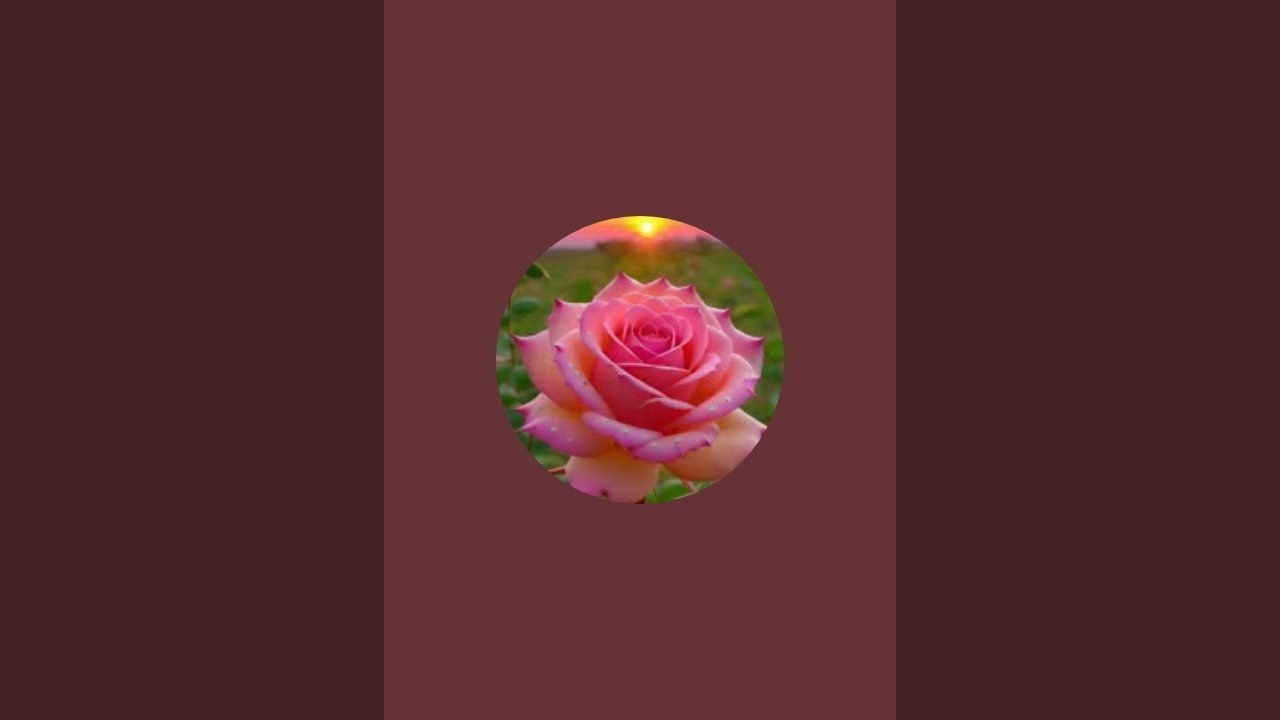 All Post Mix is live या लवकर