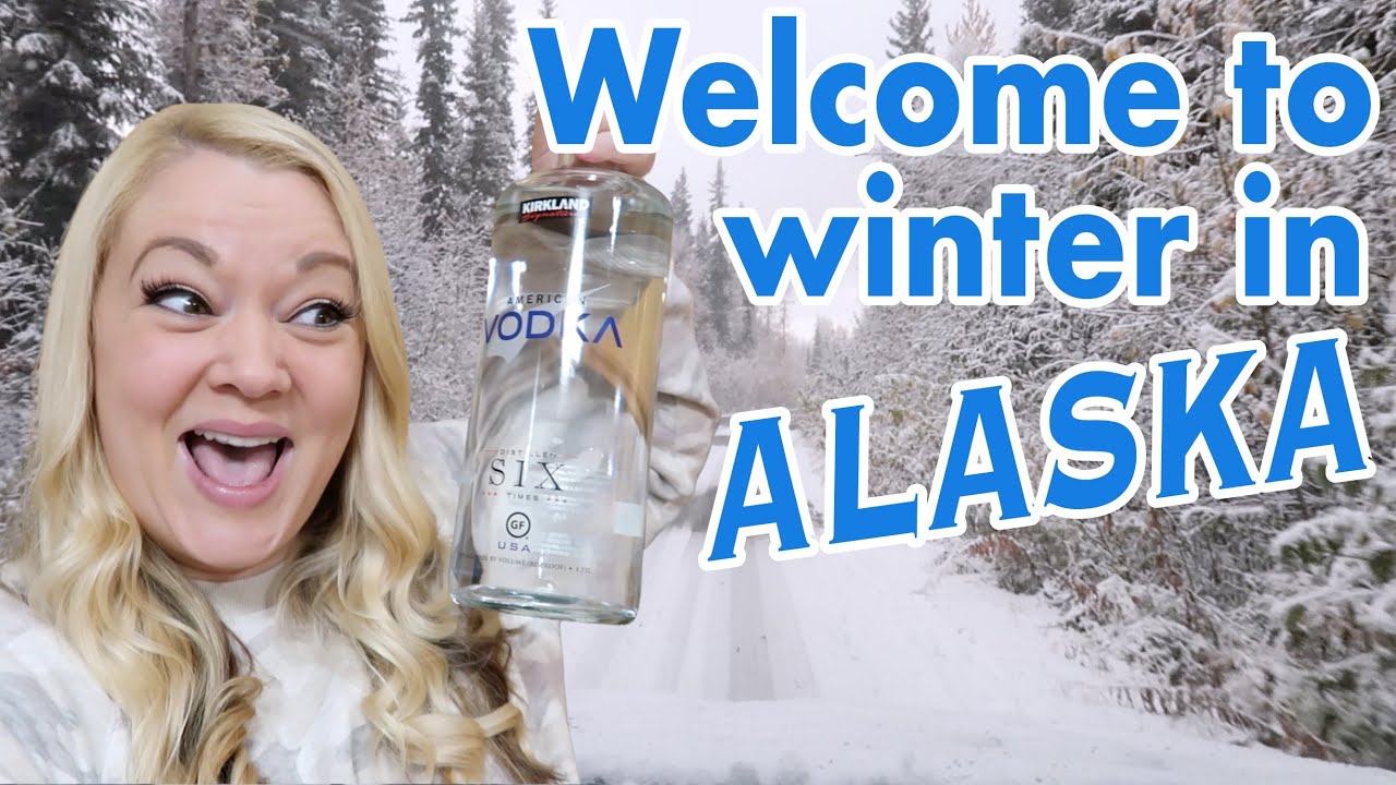WINTER IN ALASKA | Fred Meyer Haul | Christmas Prep | Violett Vlogs