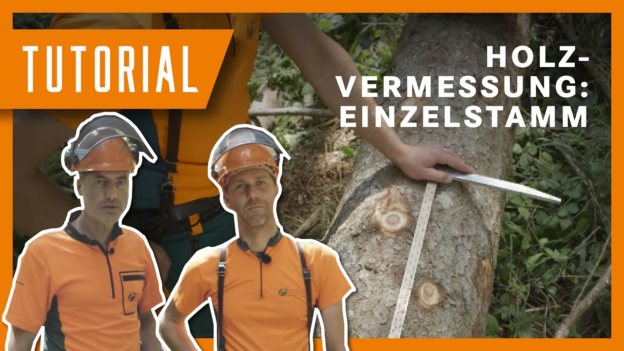 Tobi & Flori erklären: Rundholz vermessen I Holzvermessung Einzelstamm I Tutorial der BaySF