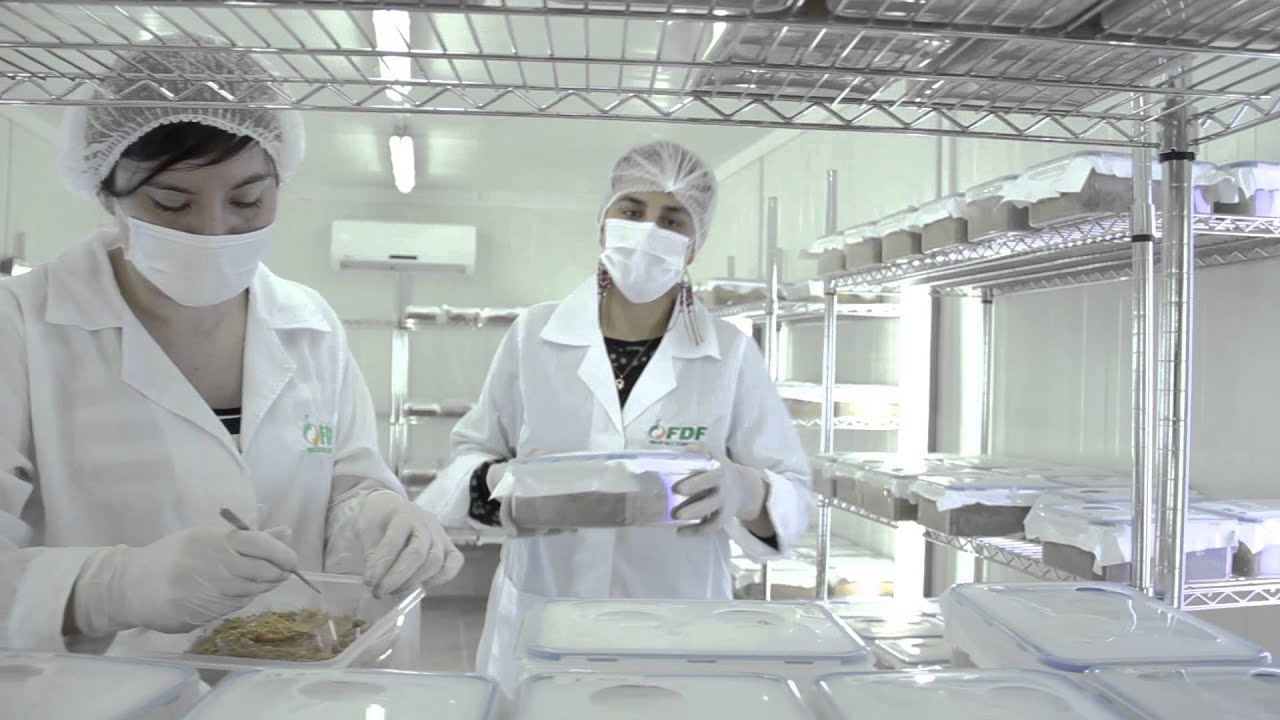 Video realizado para la Fundaci&oacute;n para el Desarrollo Frut&iacute;cola