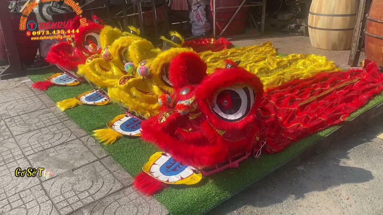 BÁN ĐẦU MÚA LÂN KIM SA MÀU VÀNG VÀ MÀU ĐỎ